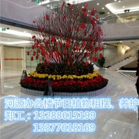 河源源城区公寓养护厂家 河源蔚蓝环境绿化