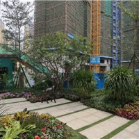 广东河源校园园林绿化工程 河源蔚蓝环境绿化