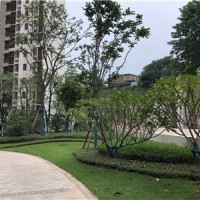 广东别墅绿化养护 河源蔚蓝环境绿化