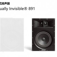 BOSE 891 791 691 591  191吸顶隐藏式