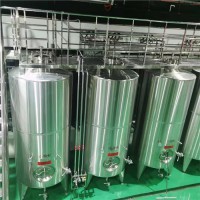 年产300吨苹果酒用果酒厂设备家酿实验设备行业前五强设备