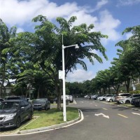 监控杆 价格 立杆施工方案 镀锌圆锥监控立杆