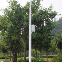 监控杆 监控立杆 道路监控杆 监控杆价格 监控杆厂家定做
