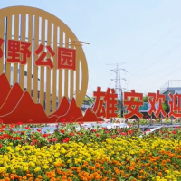 什么情况下可以在雄安新区注册公司