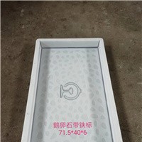 铁路电缆槽塑料模具图片-rpc盖板模具