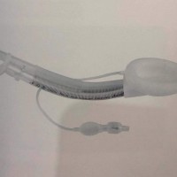 一次性医用喉罩组件