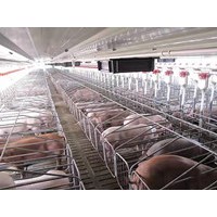 养殖场自动喂料设备自动上料线育肥舍母猪舍可定制