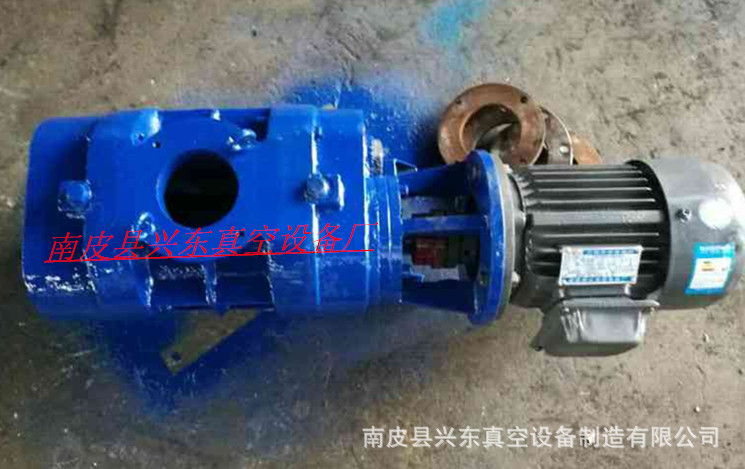 沧州罗茨真空泵 ZJ-150罗茨真空泵食品行业用真空泵