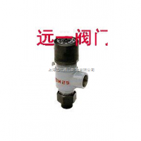 外螺纹液化气安全阀A21F-25/40