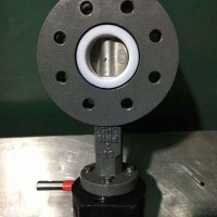 四氟乙烯法兰蝶阀		跃正船阀工厂现货直销
