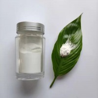 水性木漆专用 30纳米二氧化钛浆料 T31M