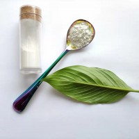 20纳米氧化铝 γ相氧化铝 荧光粉用 高纯氧化铝