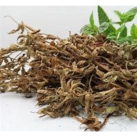 大陆进口越南凉粉草清关资料流程