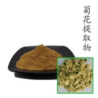 菊花提取物10:1 散装浓缩粉