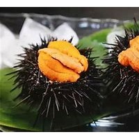 上海港进口海胆清关操作文件