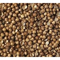 芫荽子进口清关代理所需要的文件资料