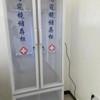 有机内镜储存悬挂柜单门双门