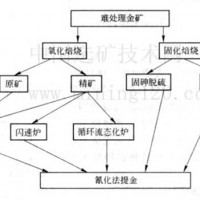 巩义铂思特原生金矿石浸出工艺，金矿炭浸提金工艺，黄金提取技术