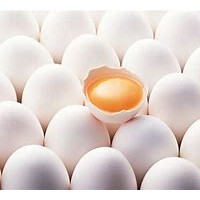 鸡蛋进口清关代理操作代理