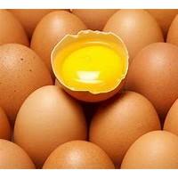 鸡蛋进口报关清关操作资料