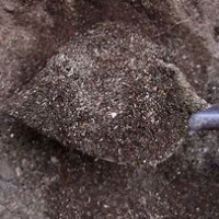 泥炭土进口报关清关操作代理