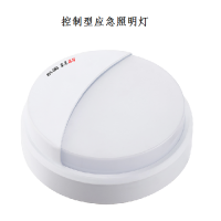 消防型系列控制型应急照明灯／消防控制型应急照明灯／应急照明灯