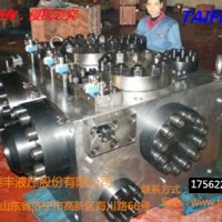 山东泰丰厂家直供机械配件二通插装阀3