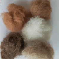 供应羊绒原料纺织填充物
