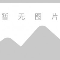 戴安离子色谱分析柱