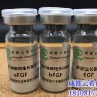 重组人酸性成纤维细胞生长因子(rh-aFGF)