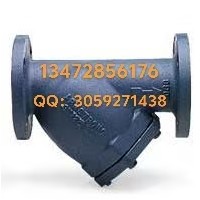 原装正品美国阿姆斯壮Y型过滤器