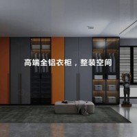 全铝衣柜安装、全铝门墙柜、全铝衣帽间、河北铝创之星安装