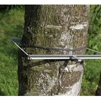 DD-L树干直径生长变化记录仪