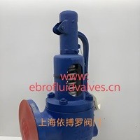 原装正品斯派莎克SV604安全阀一级代理商
