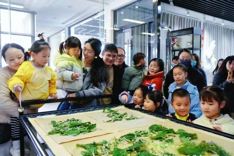 苏州三六六青少年趣味实践营｜喂蚕缫丝+桑葚采摘火热报名中